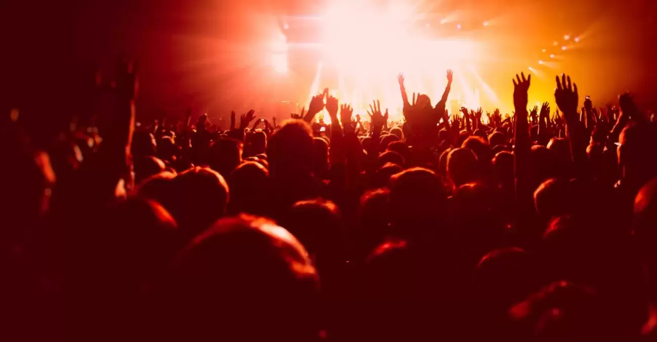 Concert crowd