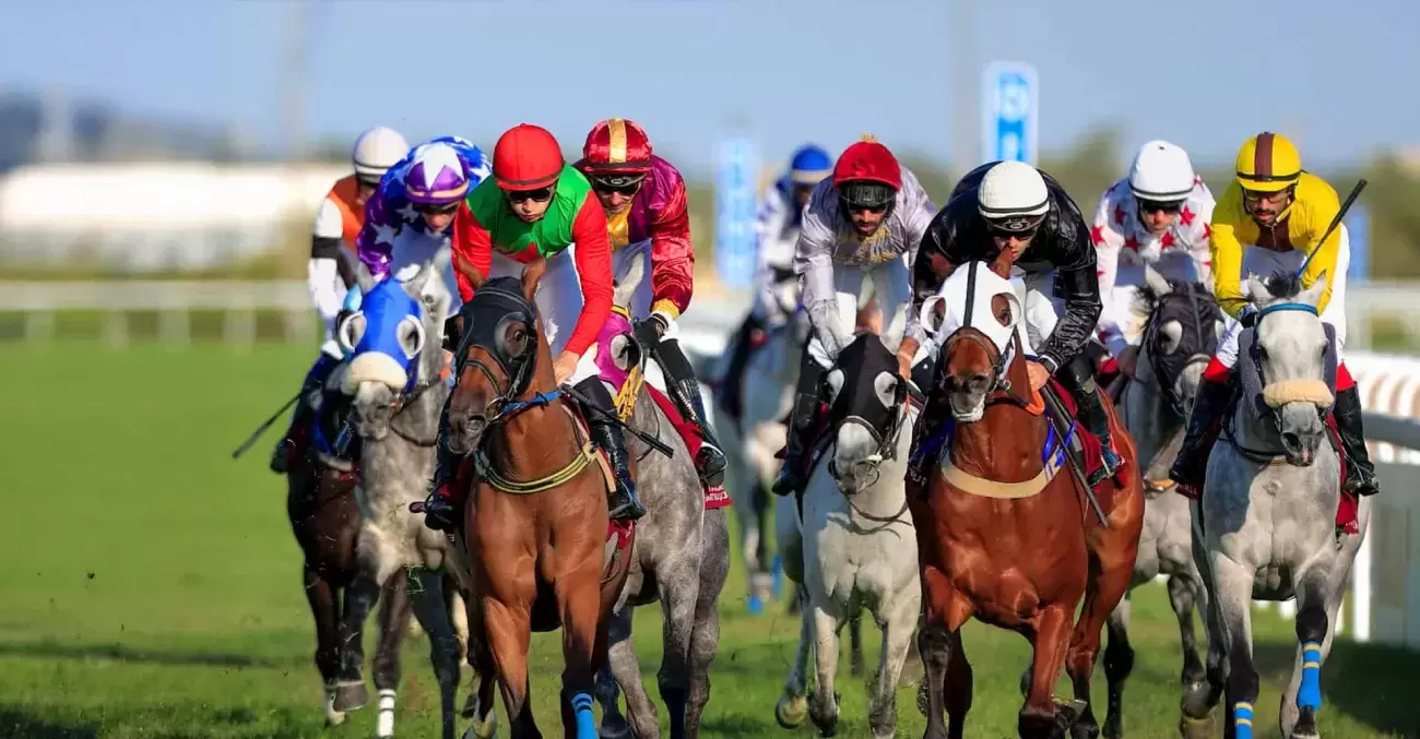 Horse race